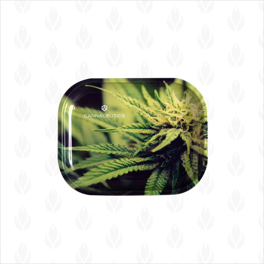 Charola metálica con detallado diseño de cogollo de marihuana